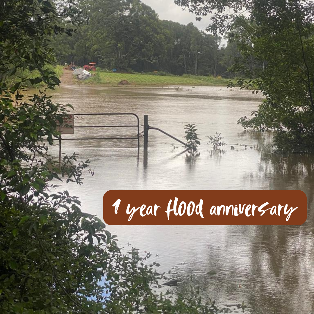 1 year anniversary of the 2022 February Floods