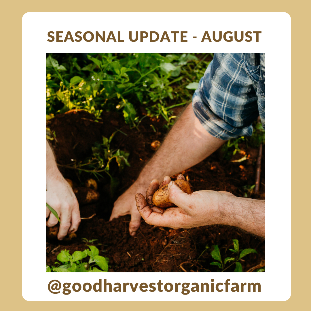 August Seasonal Update