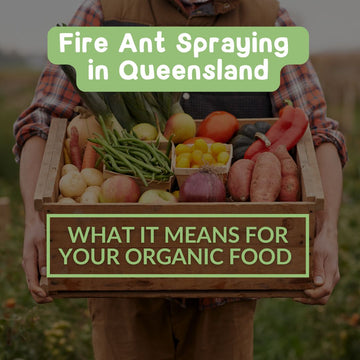 Fire Ant Spraying in Queensland - What It Means for Your Organic Food Supply