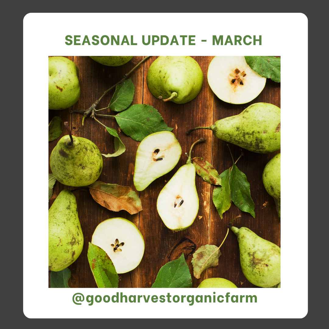 March Seasonal Updates