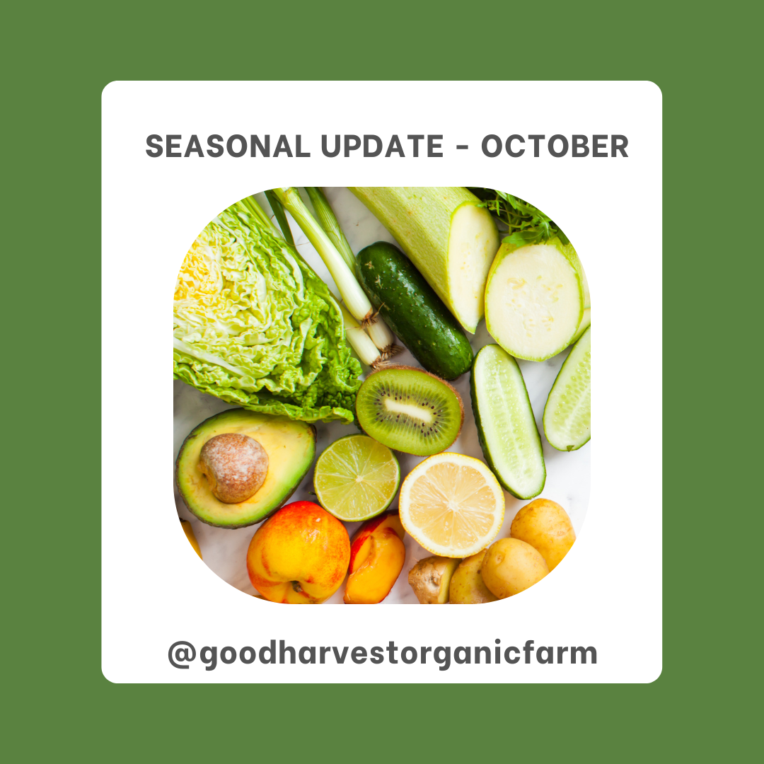 Seasonal update - October