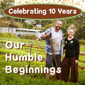Looking Back to Move Forward: The Beginnings of Good Harvest