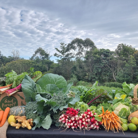 Why Eat Seasonal Organic Foods: Boost Health & Support Farmers