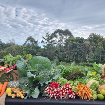 Good Harvest Seasonal Organic Produce direct from our farm