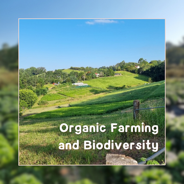 Organic Farming and Biodiversity