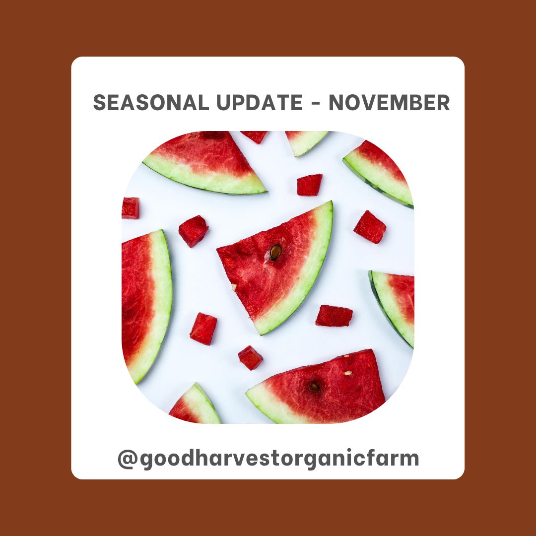 November Seasonal Update