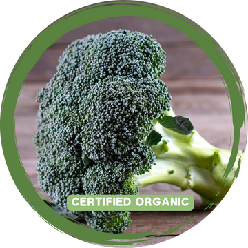 Broccoli Head- Certified Organic_