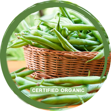 Beans Green 250gm - Certified Organic_