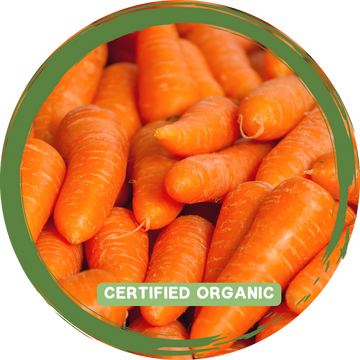 Carrots - Certified Organic