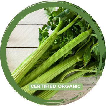 Celery Bunch-Certified Organic