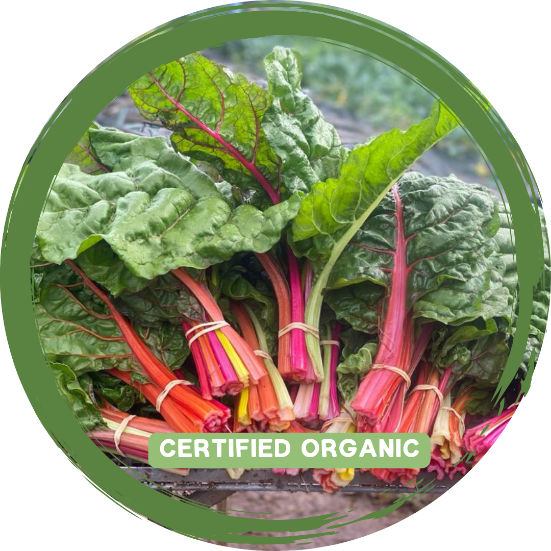 Silverbeet/Rainbow Chard Certified Organic