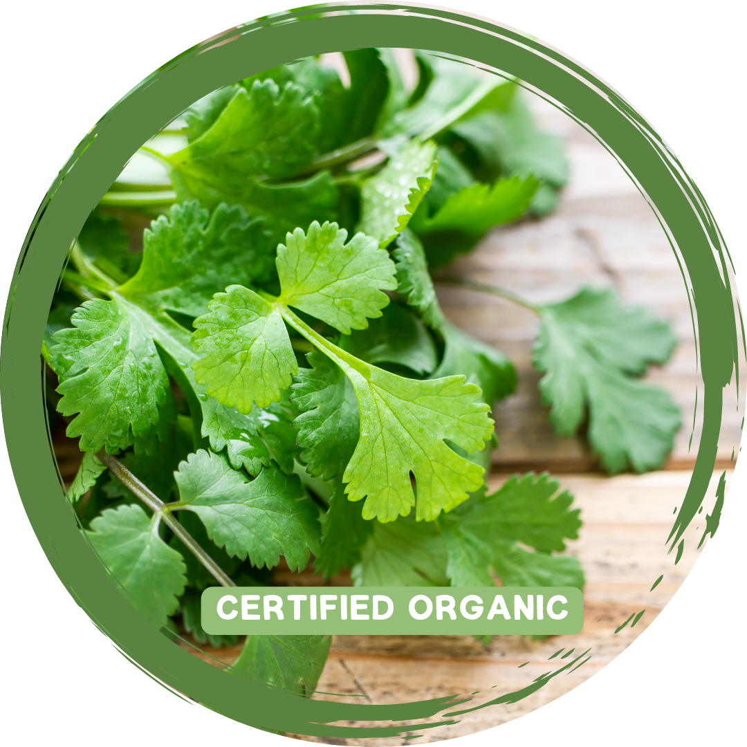Coriander - Certified Organic_