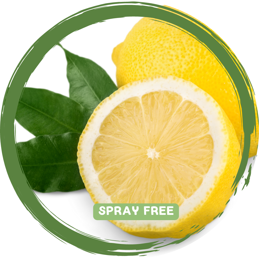 Lemons x 2- Spray Free_
