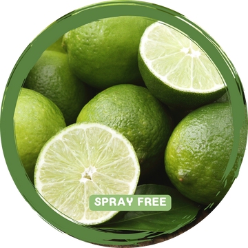 Limes x 2-3 - Local Spray Free_