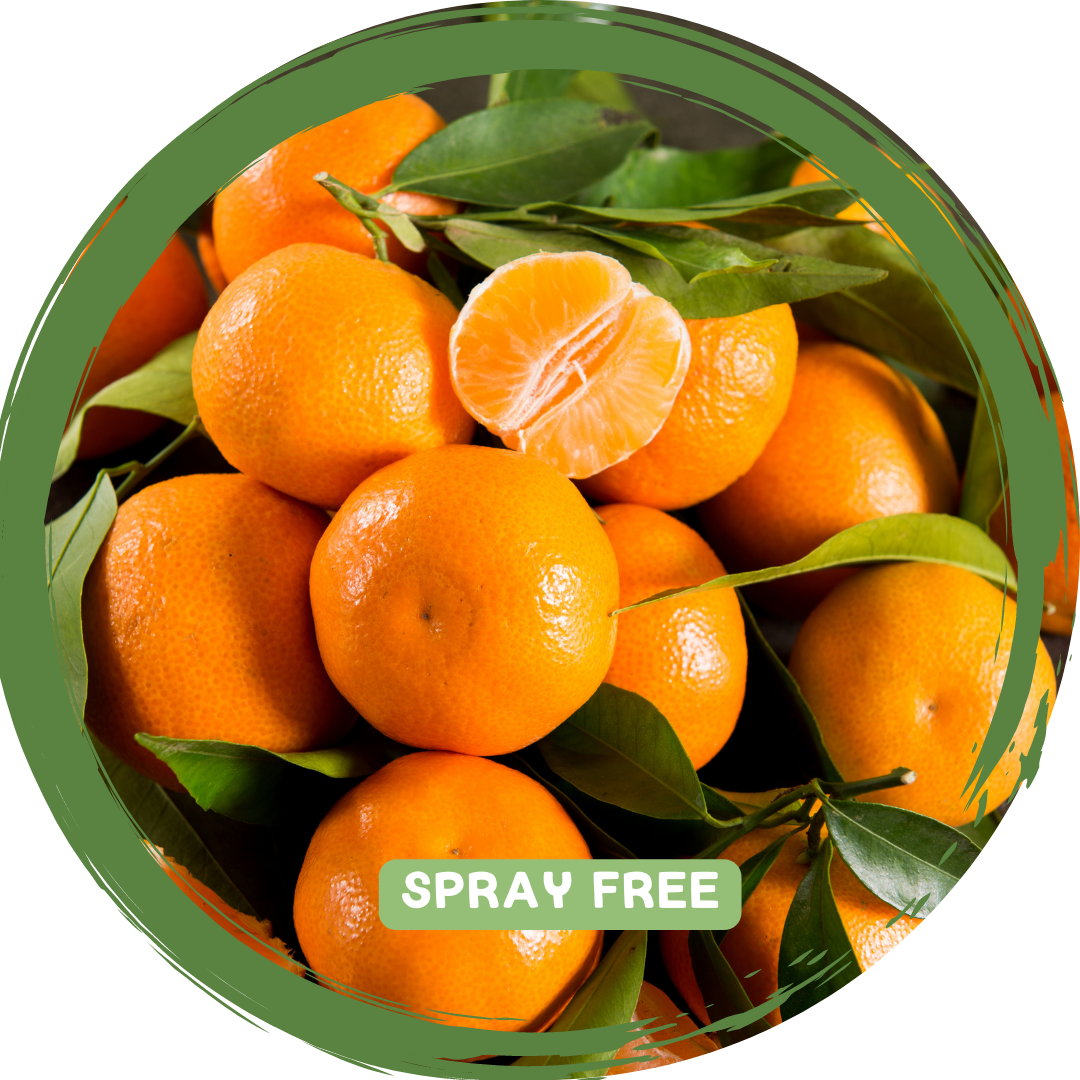 Mandarins Local Spray Free