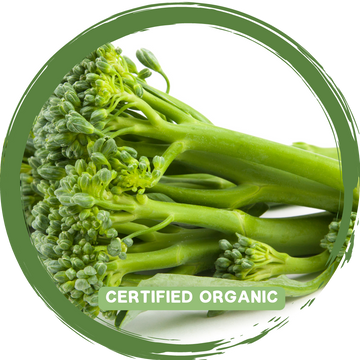 Baby Broccoli Bunch - Certified Organic
