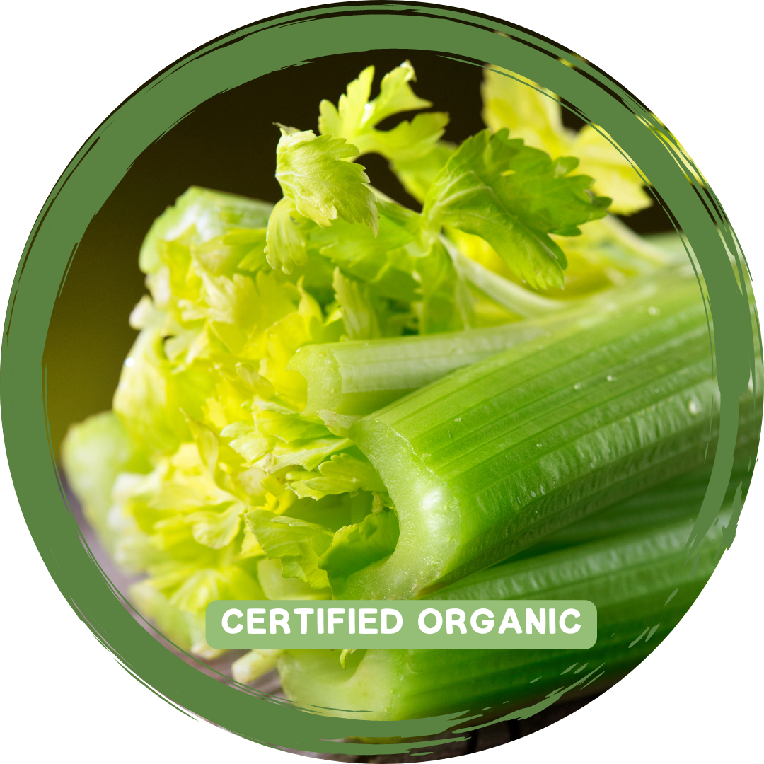 Celery Half  - Certified Organic_