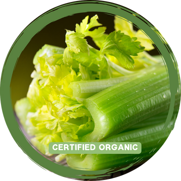 Celery Half  - Certified Organic_