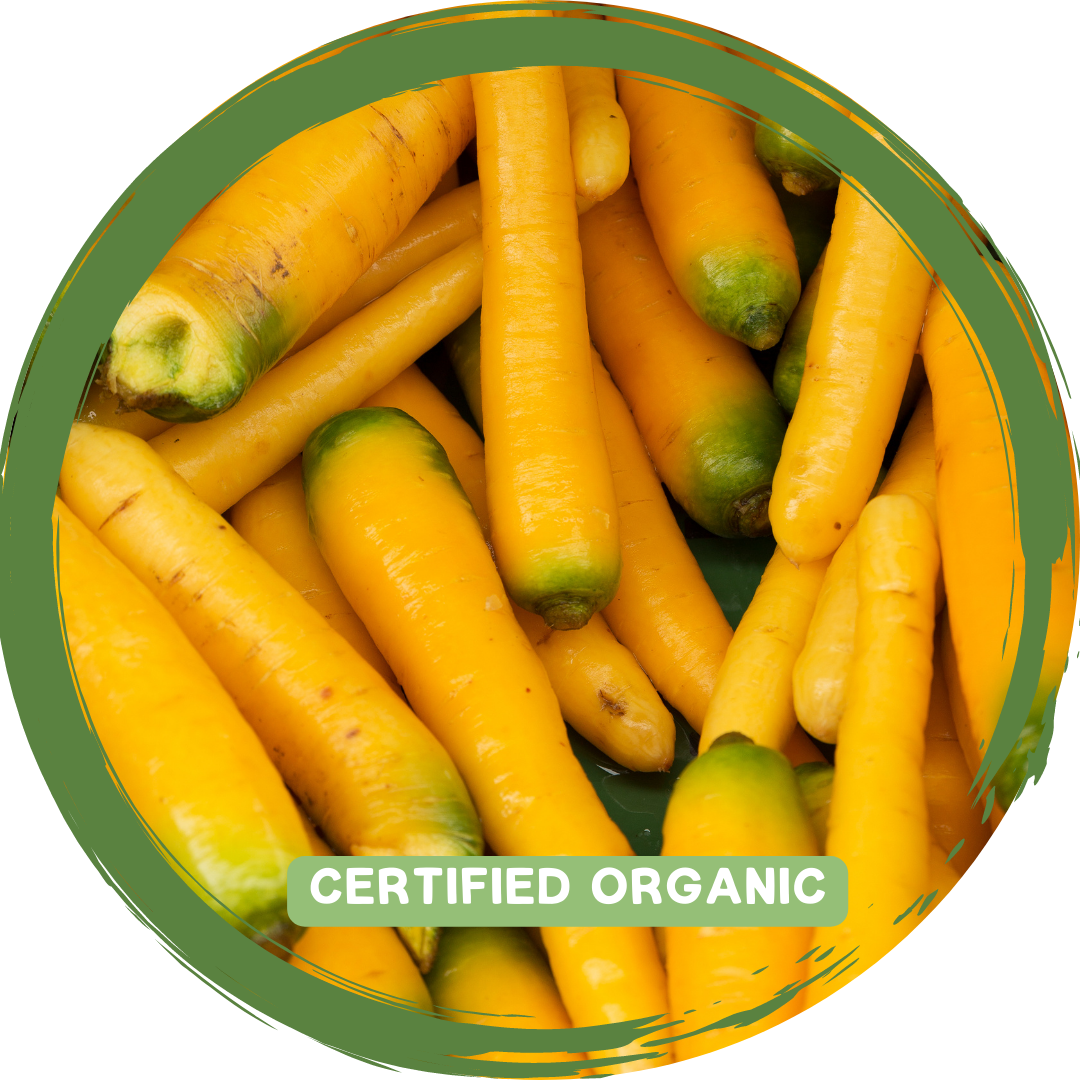 Carrots Coloured (Yellow or Purple) - Certified Organic