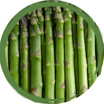 Asparagus Bunch - Certified Organic