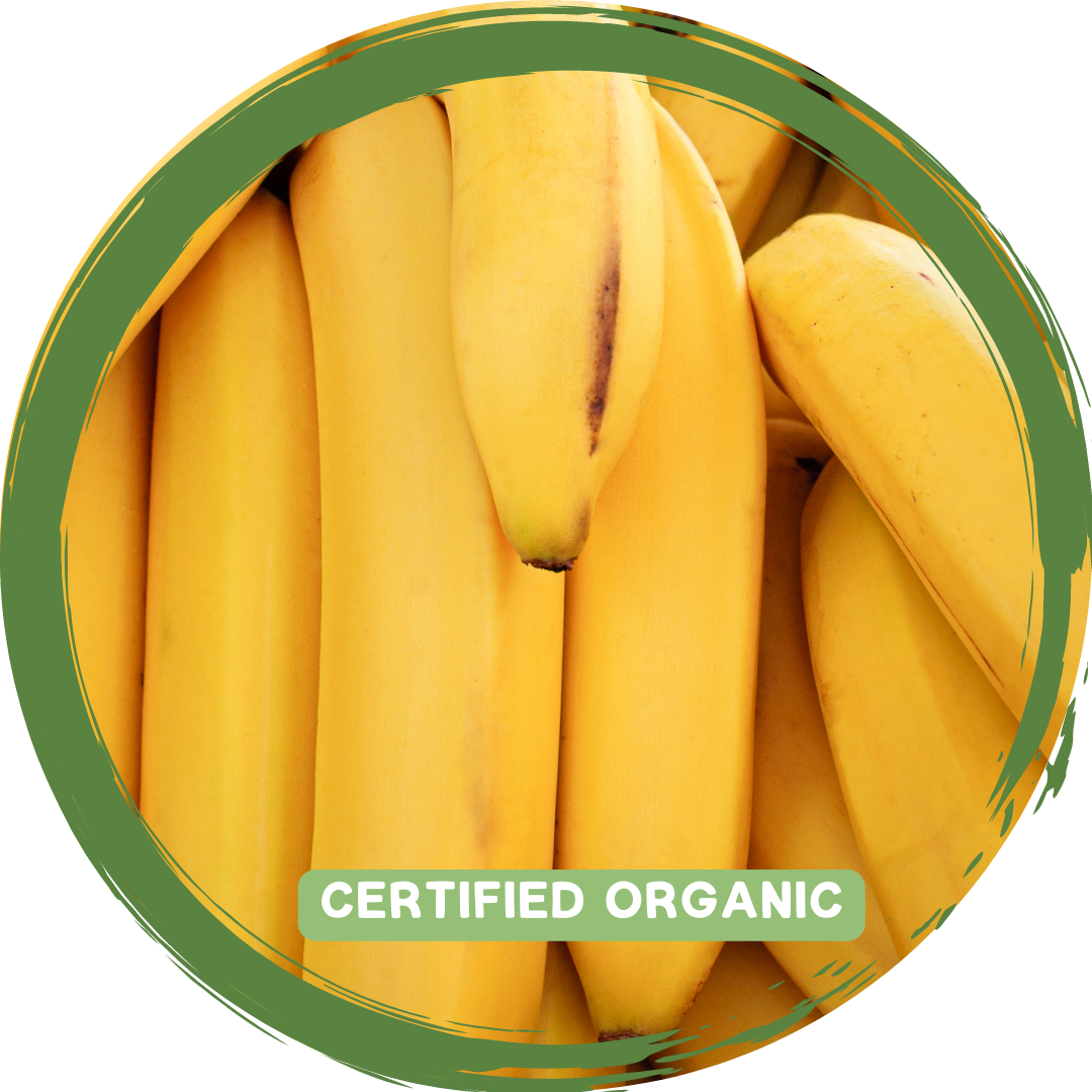 Bananas x 3-4 - Certified Organic_