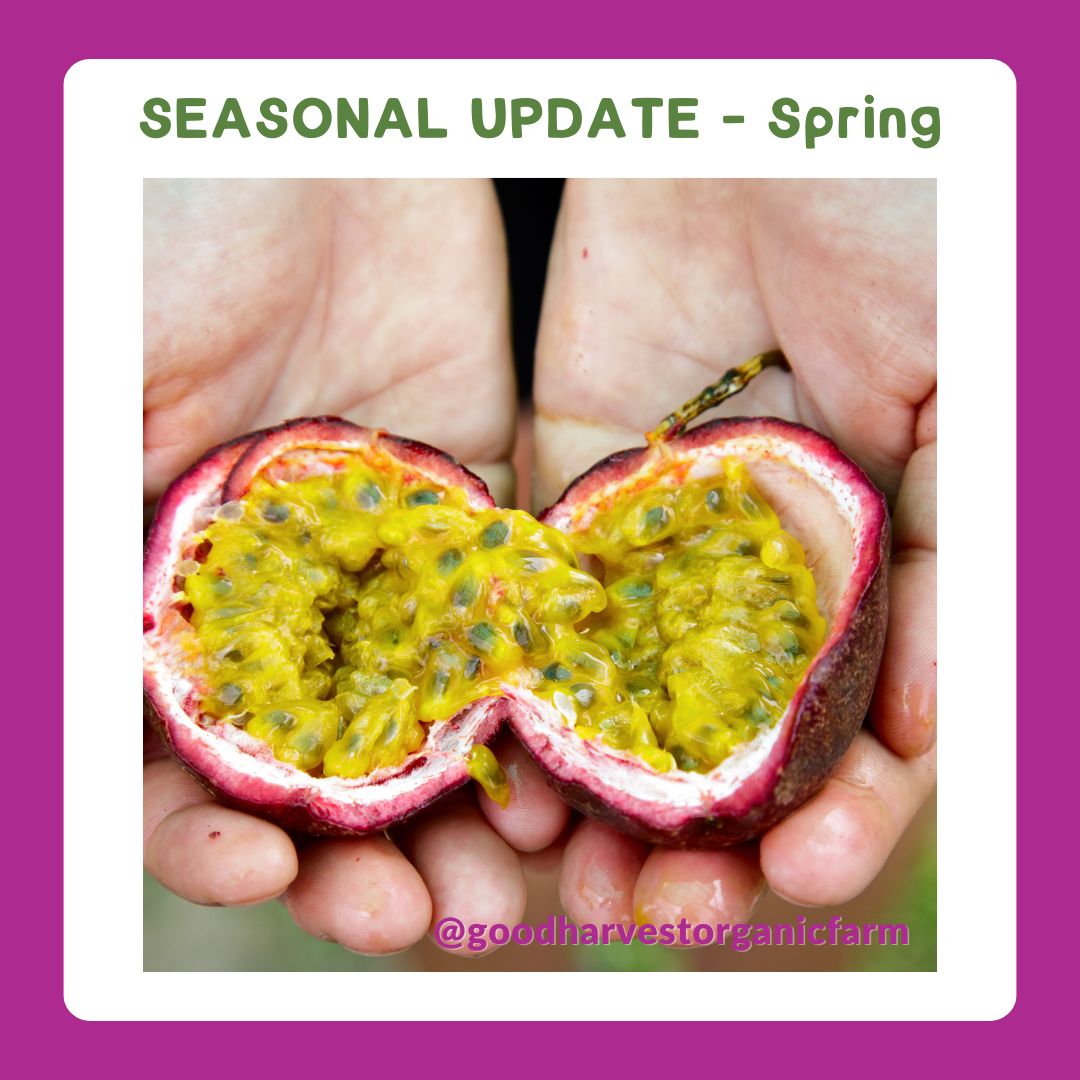 SPRING Seasonal Update