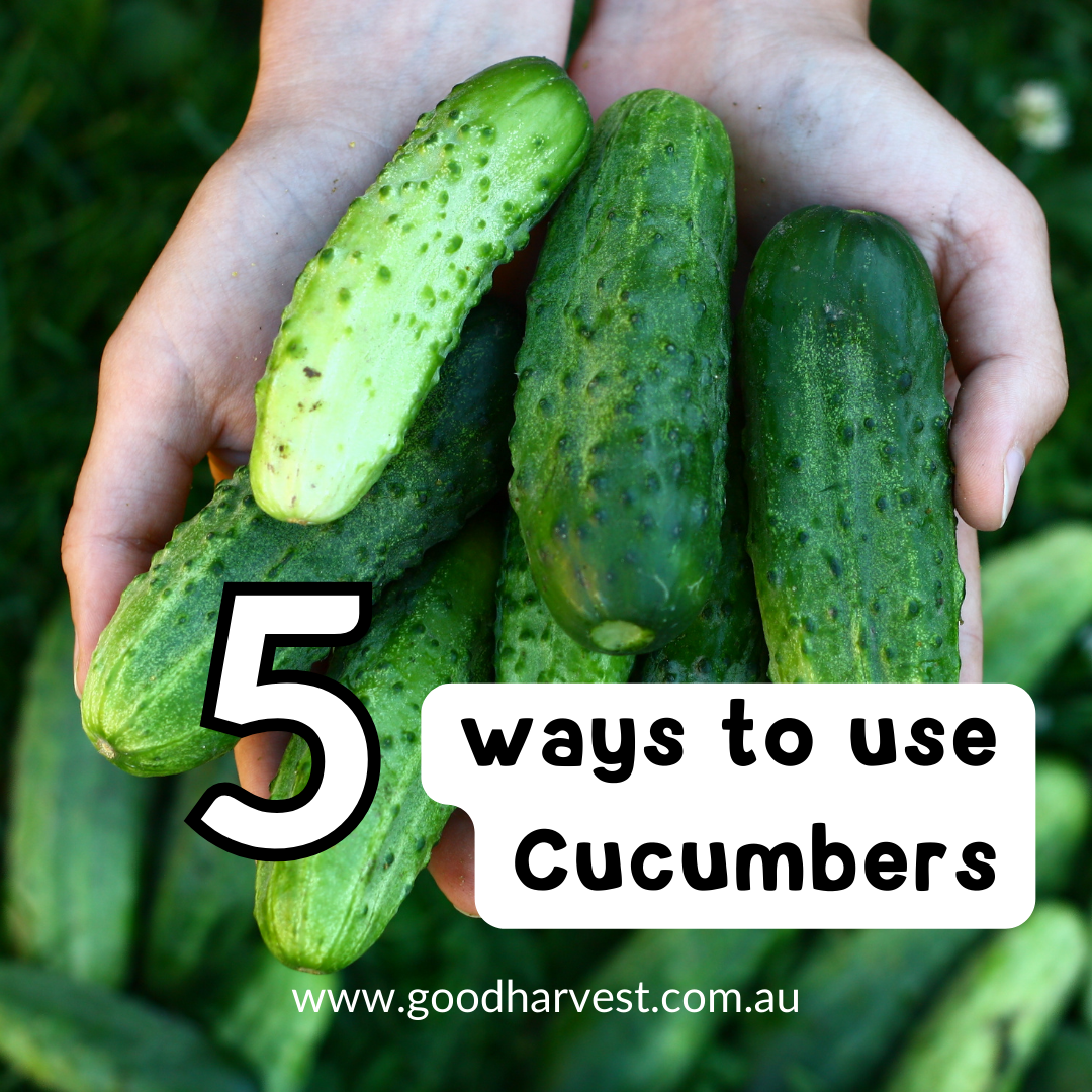 5 Ways to use Cucumbers!