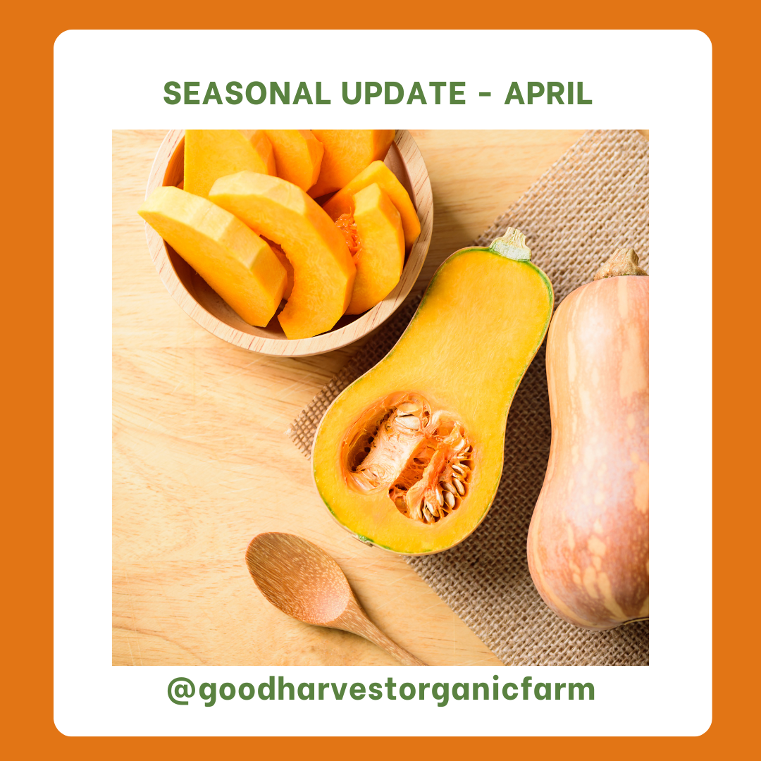 April Seasonal Update