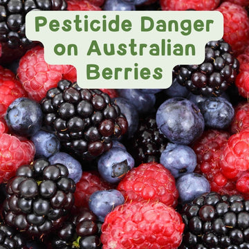 Pesticides used on Australian Berries under review due to health concerns