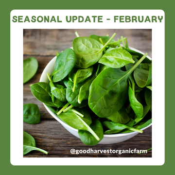 February Seasonal Update
