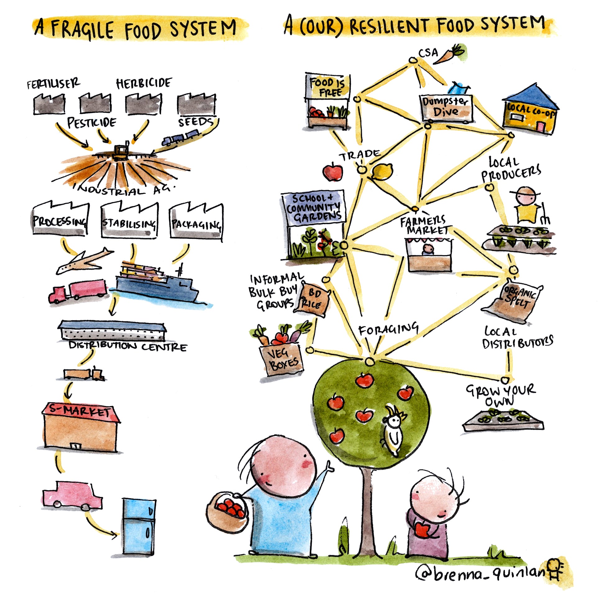 Centralised Food Systems and the Impacts on our Communities