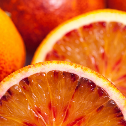 Blood Oranges and why we LOVE them and you will too!