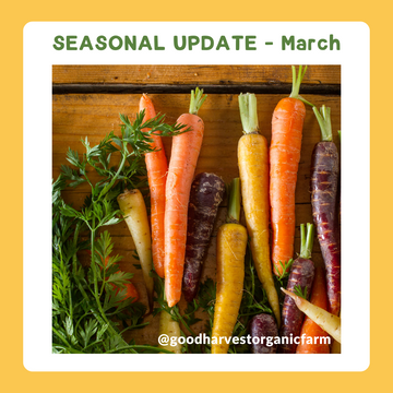 March Seasonal Update