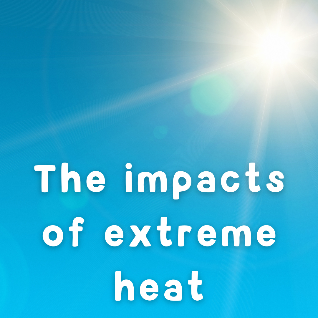 The Impacts of Extreme Heat and Rainfall