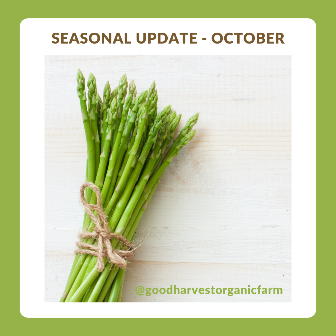 October Seasonal Update