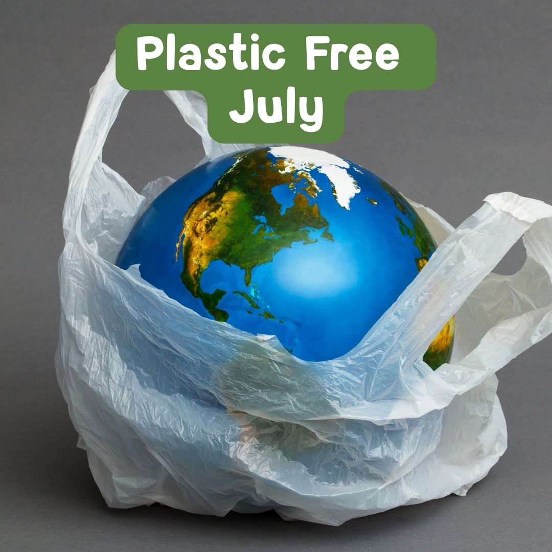 Plastic Free July: Small Steps Toward a Greener Future