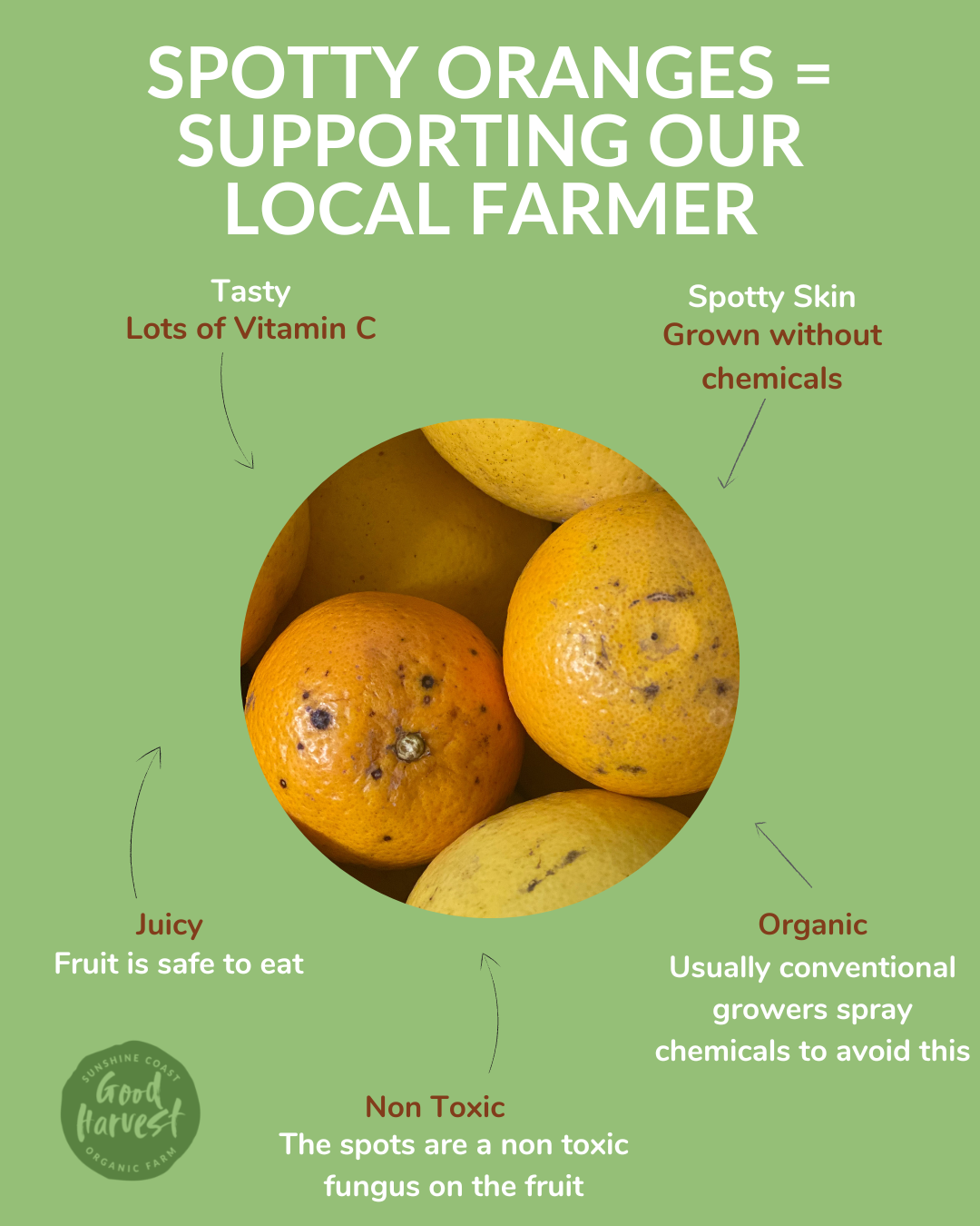 Supporting local farmers with wild spotty oranges