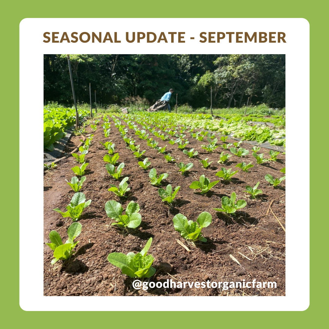 September Seasonal Update