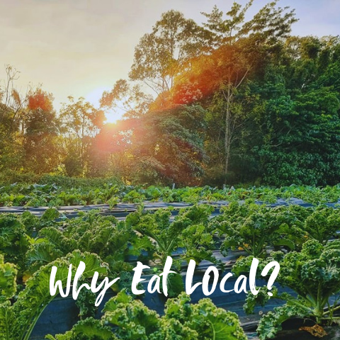 Why Eat Local?