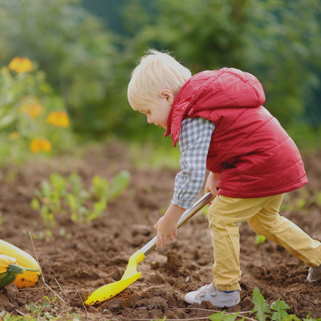Starting your Autumn garden