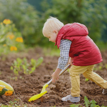 Starting your Autumn garden