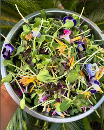 Microgreens