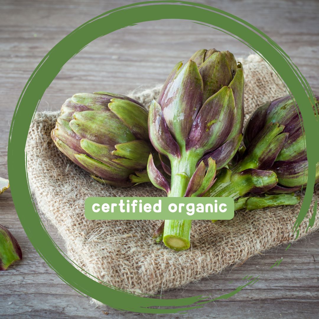 Artichoke - Certified Organic