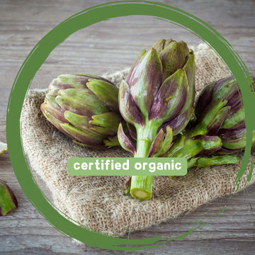 Artichoke - Certified Organic