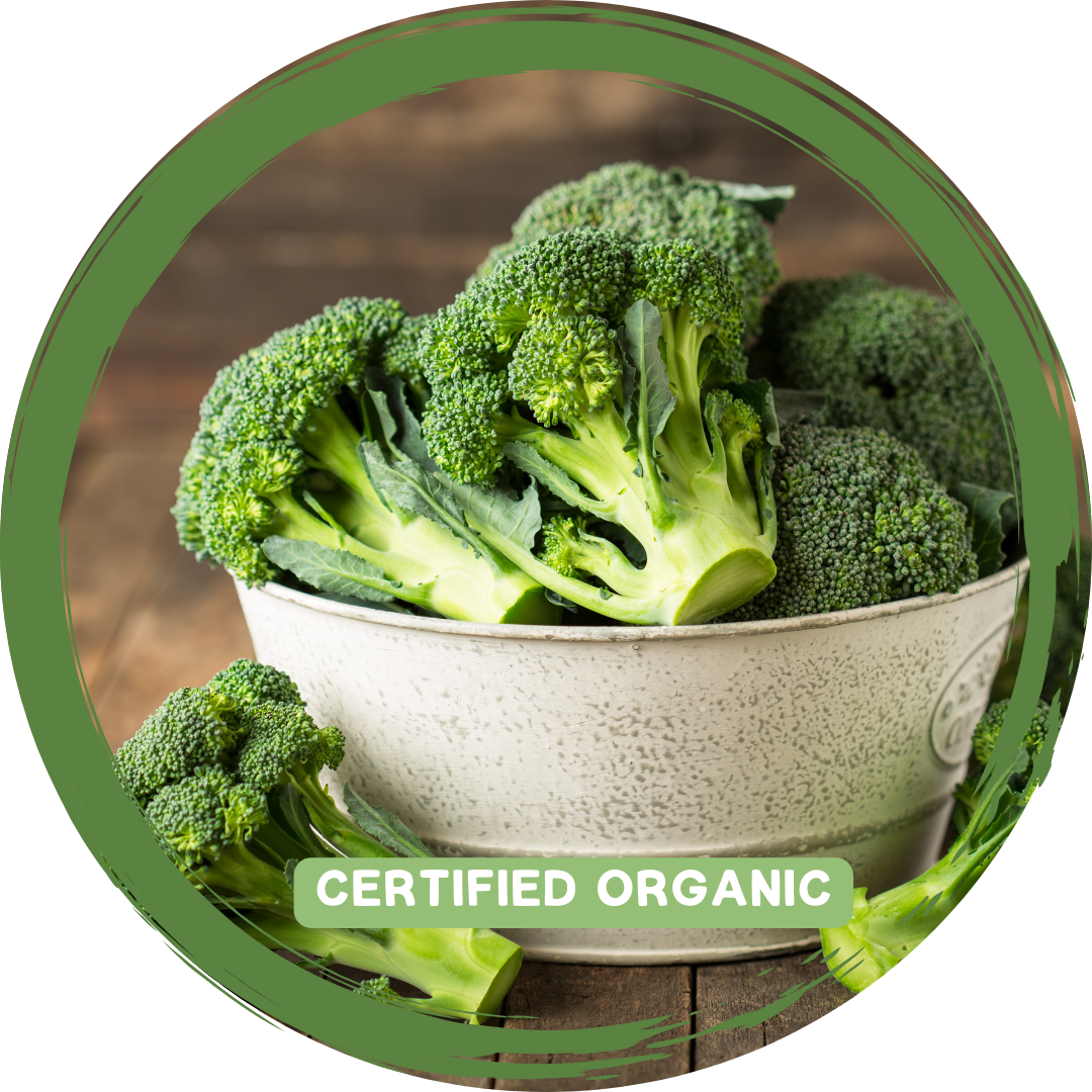 Broccoli - Certified Organic