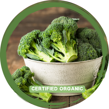 Broccoli - Certified Organic