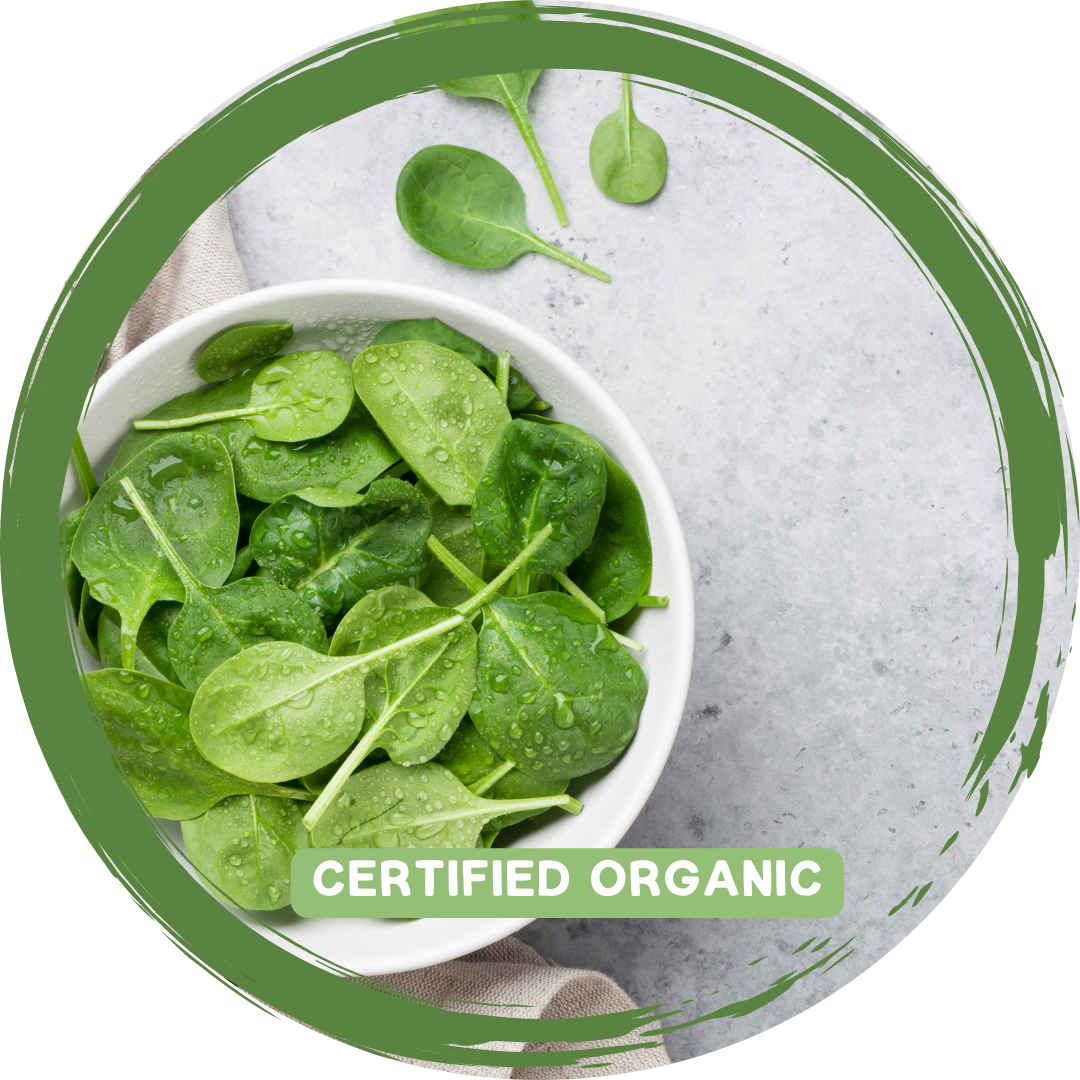Spinach Bag - Certified Organic