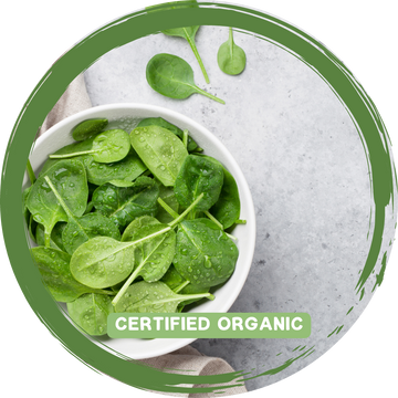 Spinach Bag - Certified Organic_