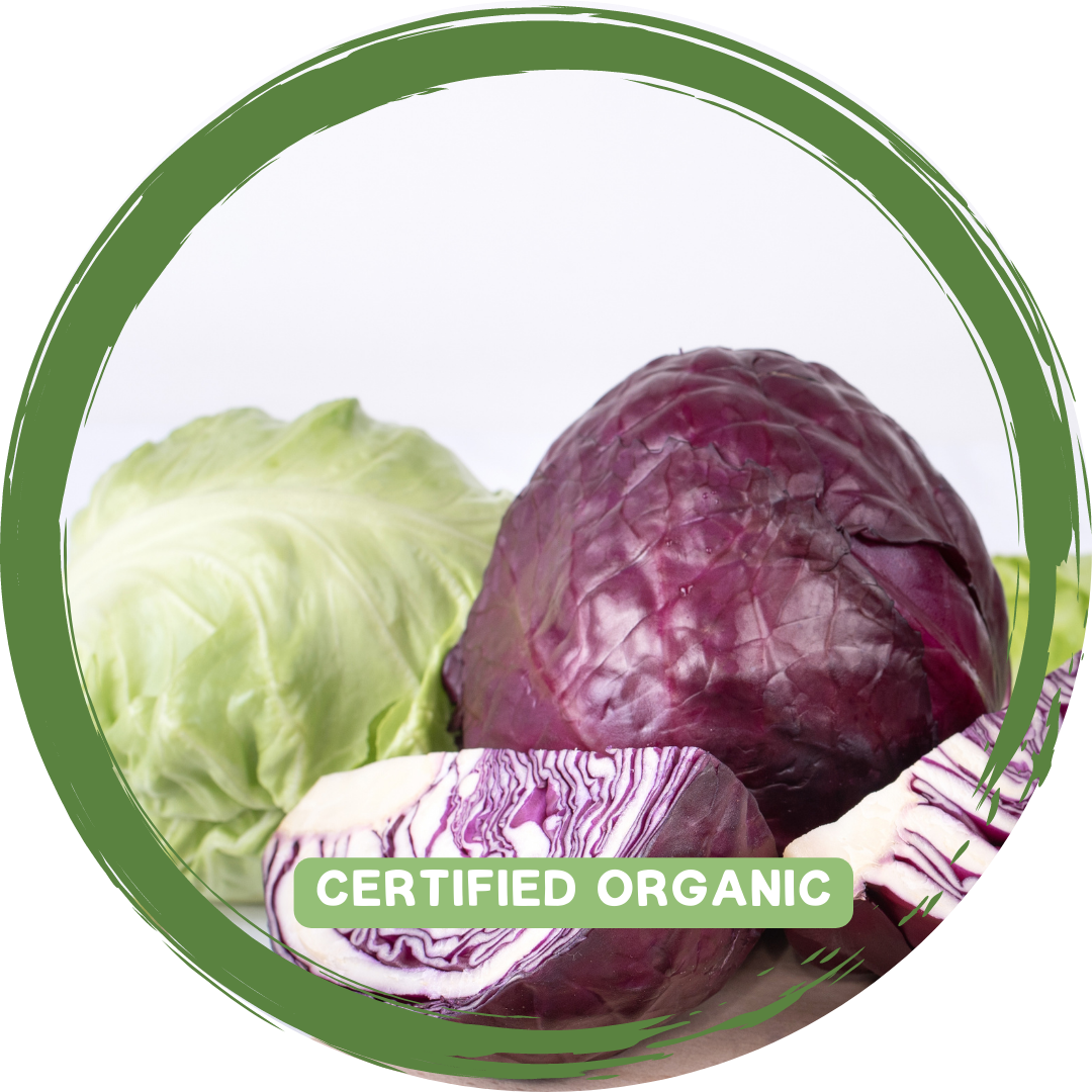 Cabbage Half - Certified Organic_