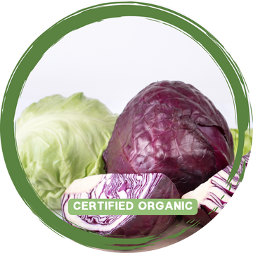 Cabbage Half - Certified Organic_